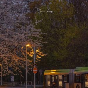 小表妹内射视频在线播放
