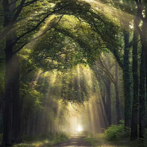 小表妹内射视频在线播放
